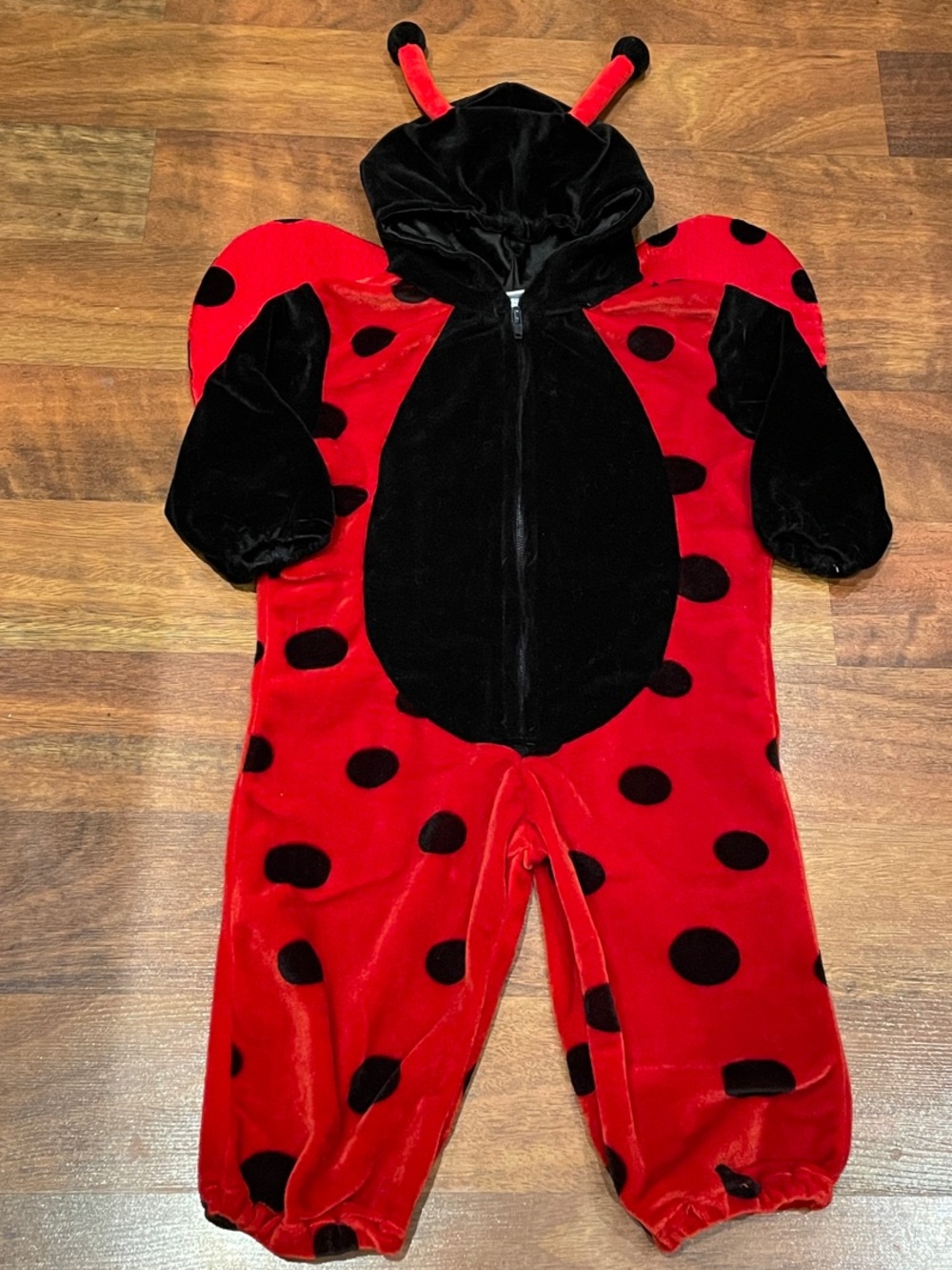 Red and Black Ladybug Costume for Kids - Picture 6 of 6